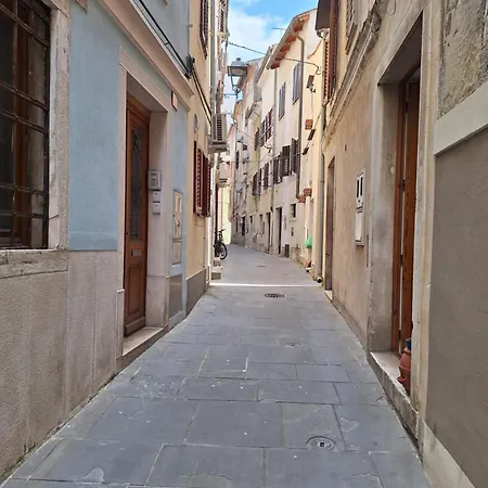 Apartma Danica Apartment