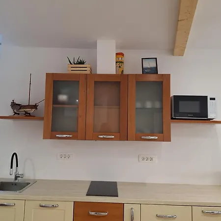 شقة Apartma Danica *