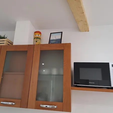 Apartment Apartma Danica