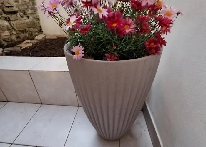 Apartma Danica Piran